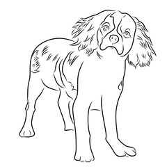 pet dog line art vector image.