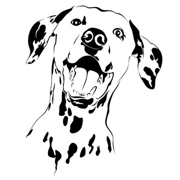 pet dog line art vector image.