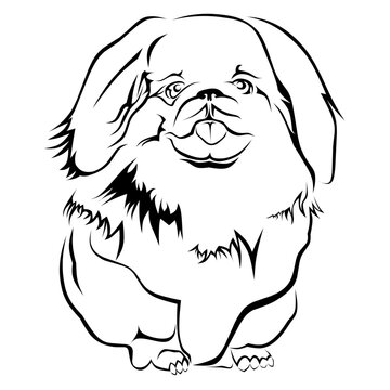 pet dog line art vector image.