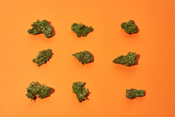 Set of green dry crushed marijuana buds on orange