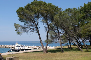 Sea & beach view from Rovinj - 517355856