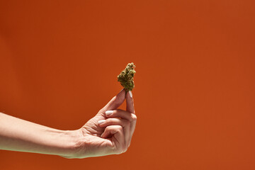 Cropped of female hand holding dry marijuana bud