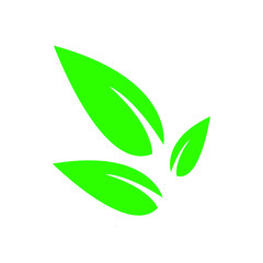 green leaf icon