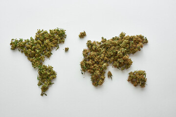 World map from dry natural organic marijuana buds