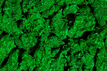 Background texture from green dry marijuana weed
