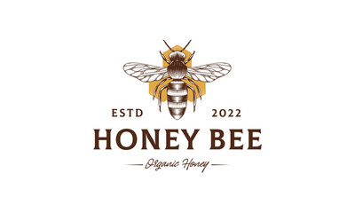 Honey Bee Vintage Vector Logo Template