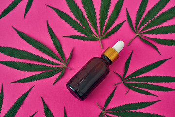 Marijuana leaves and cannabinoid oil on pink
