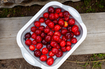 Ripe red cherry plums on plate. Juicy fruit on wooden background, closeup. Fresh plum, vegetarian food