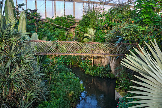 TropenWelt " Gondwanaland " im Zoo Leipzig.