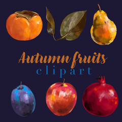 autumn summer fruits, realistic clipart, fruit design, freehand digital drawing.  handmade  illustration.  png  pear, plum, apple, persimmon