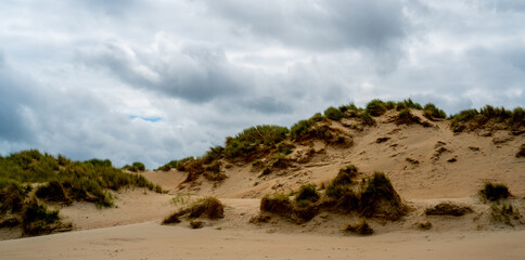 Dune on the coast of North sea in Belgium
