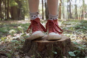 The child stands on a stump in red sneakers. Bear-shaped socks peek out of the shoes. Summer sunny day, a place to walk