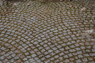 Stone paving block walk path in the park