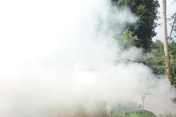 Smoke from burning leaves.