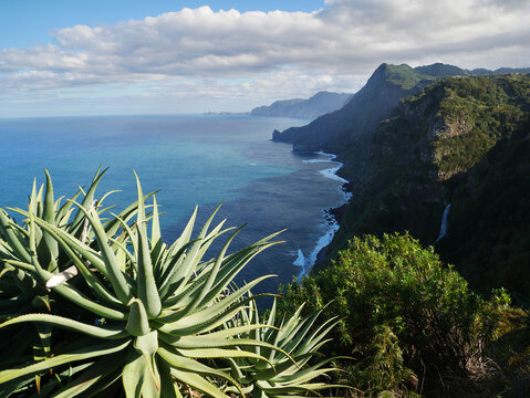 Blick über Klippen und Meer - Madeira