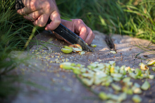 Man cuts wild apples on a wooden board