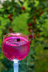 Cocktail with ice and currants