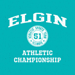 Athletic team state of Elgin, Illinois. Typography graphics for sportswear and apparel. Vector print design.