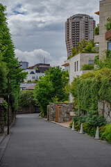 Fototapeta na wymiar 緑が豊かな元麻布の住宅街の道