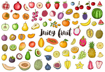 Set of hand drawn vector doodle fruit