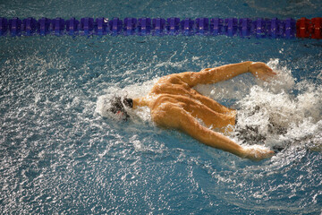 Details with a professional male athlete swimming in an olympic swimming pool butterfly style.