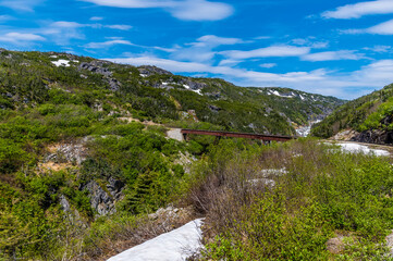 Fototapeta na wymiar A view of a bridge over a ravine from a train on the White Pass and Yukon railway near Skagway, Alaska in summertime