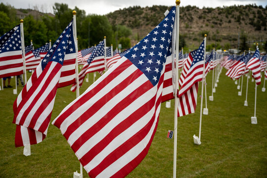 American Flags For a Grid In Park on Memorial Day