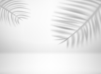 Bright interior with tropic leaves shadows. 3d vector illustration