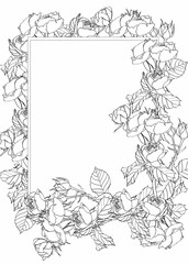 Line Roses flowers card template set. Garden line flowers frame.  Summer time border frame. 