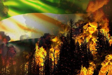 Forest fire natural disaster concept - flaming fire in the trees on Sierra Leone flag background - 3D illustration of nature