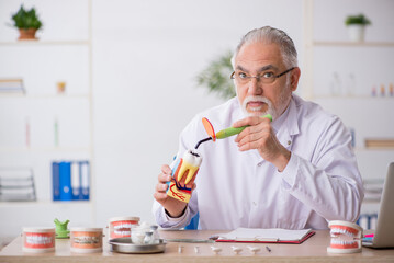 Old male doctor dentist working in the clinic