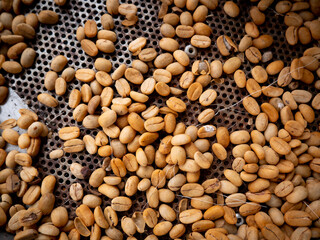 Dried Coffee Beans inside a Coffee Grinder Machine