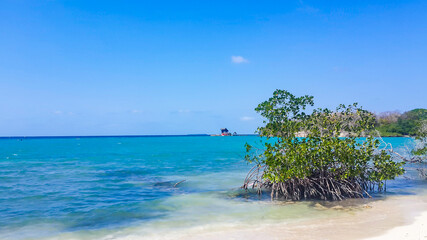 Maldives paradise scenery. Tropical landscape, seascape with large background with copy space. Amazing sea and lagoon beach, tropical nature. Exotic tourism destination banner, summer vacation
