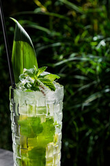 A cocktail with ice, mint
