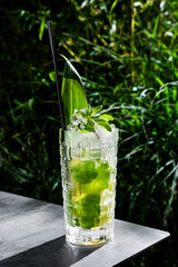 A cocktail with ice, mint
