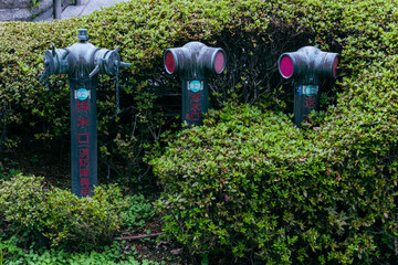 sprinkler in the garden