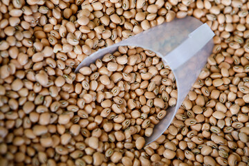 Black eye pea, or feijao Fradinho in portuguese, to sale on street market. Sao Paulo, Brazil