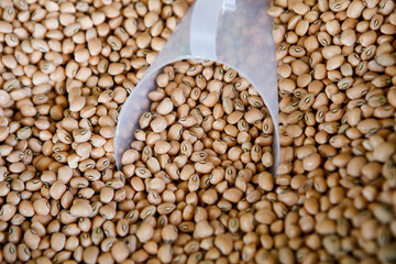 Black eye pea, or feijao Fradinho in portuguese, to sale on street market. Sao Paulo, Brazil