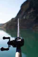 fishing rod in vertical photography