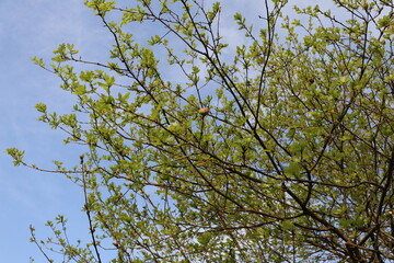 Obraz premium Contrastes del verano