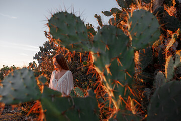Young woman girl in a stylish white vintage dress stands among huge cacti