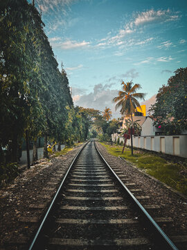 railway in the jungle