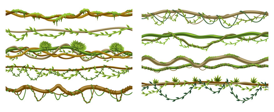 Lianas stems border set. Rainforest green vines or twisted plant hanging on branch. Cartoon jungle creeper branches, leaves and moss on tree. Vector isolated game scenery elements