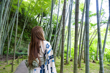 神奈川県鎌倉市　明月院の竹林と浴衣女性