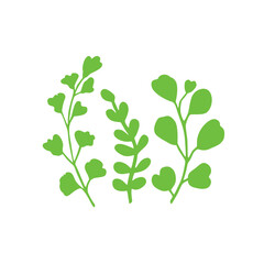 Obraz premium Set botanic blossom floral elements. Branches, leaves, herbs, wild plants, flowers. Garden, meadow, field collection leaf, foliage, branches. Bloom vector illustration isolated on white background