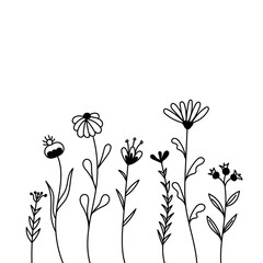 Set of hand drawn floral vector with leaves and branches, Floral sketch collection. Decorative elements for design. Wild flowers