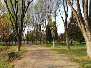 park in autumn