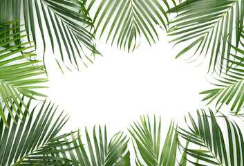 Tropical green palm leaves