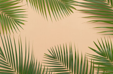 Fototapeta na wymiar Tropical green palm leaves