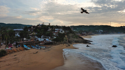 mazunte Oaxaca Mexico pacific ocean coastline hippie town village aerial scenic view with bird 